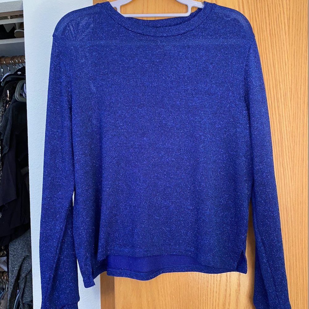 Blue sparkly shirt